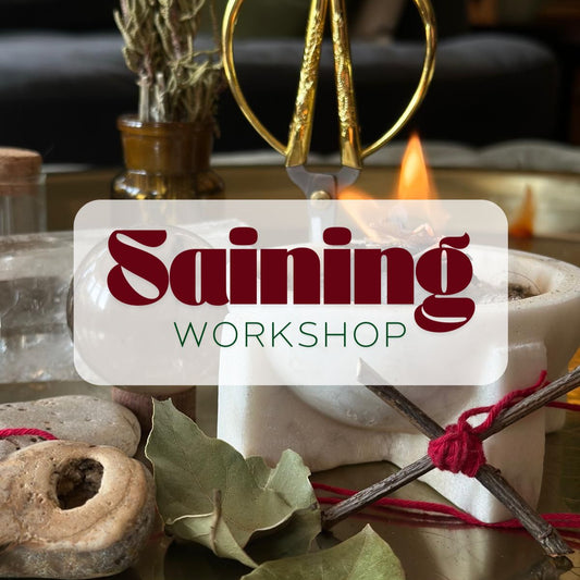 Saining Workshop
